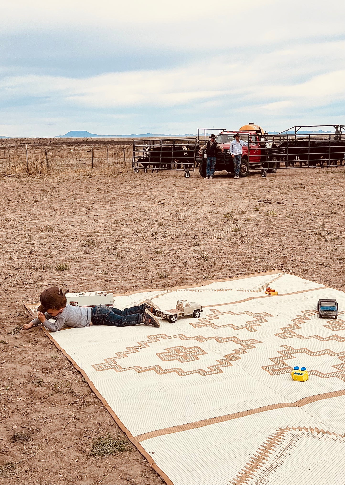 RANCH RUGS - 9ft x 12ft - ALPINE - Tan + Ivory
