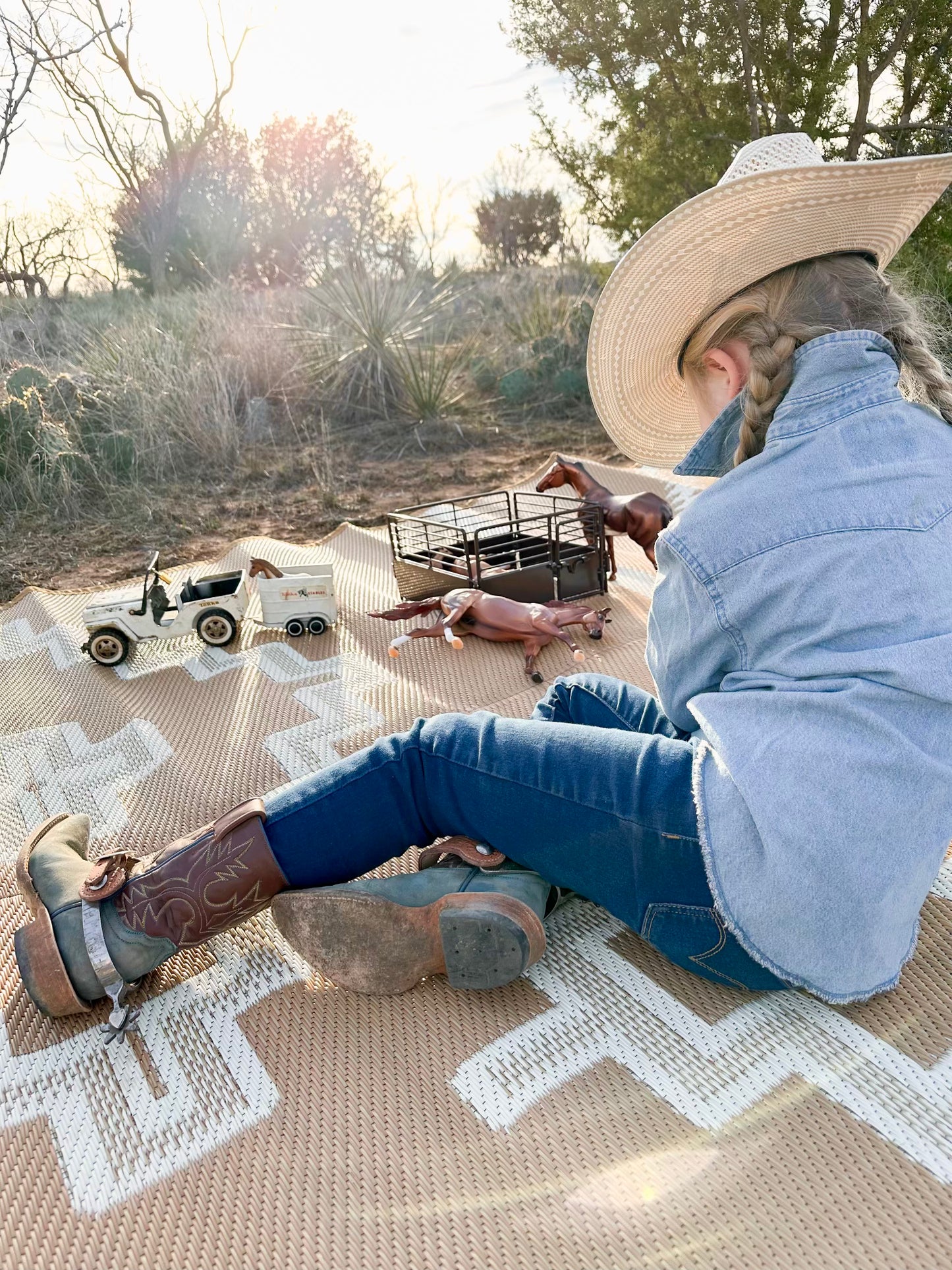 RANCH RUGS - 9ft x 12ft - ALPINE - Tan + Ivory