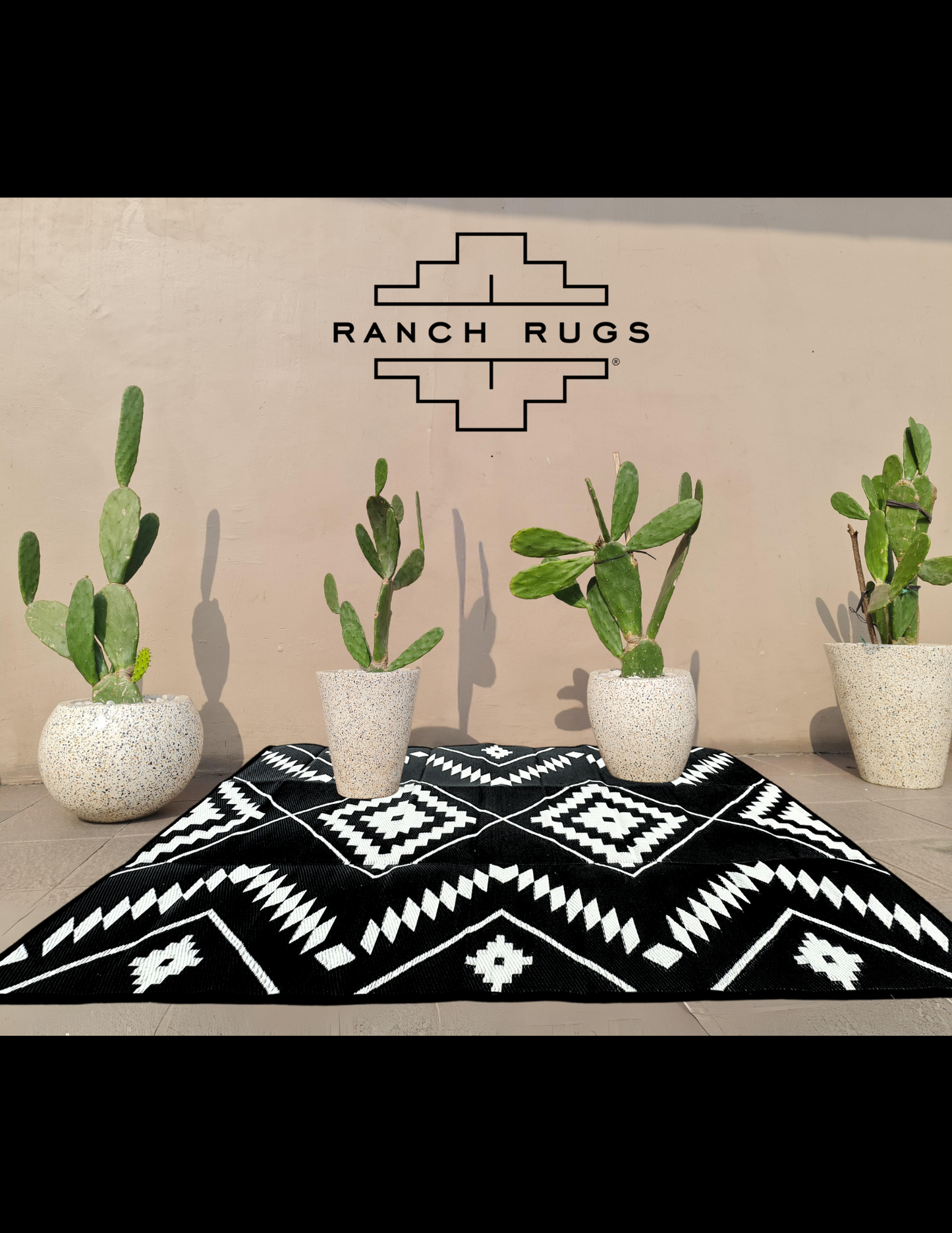 Black + Ivory - 9ft x 12ft - RANCH RUGS -THE DAVIS -