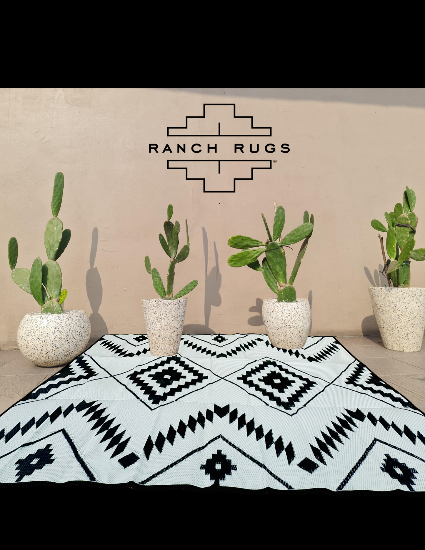 Black + Ivory - 9ft x 12ft - RANCH RUGS -THE DAVIS -