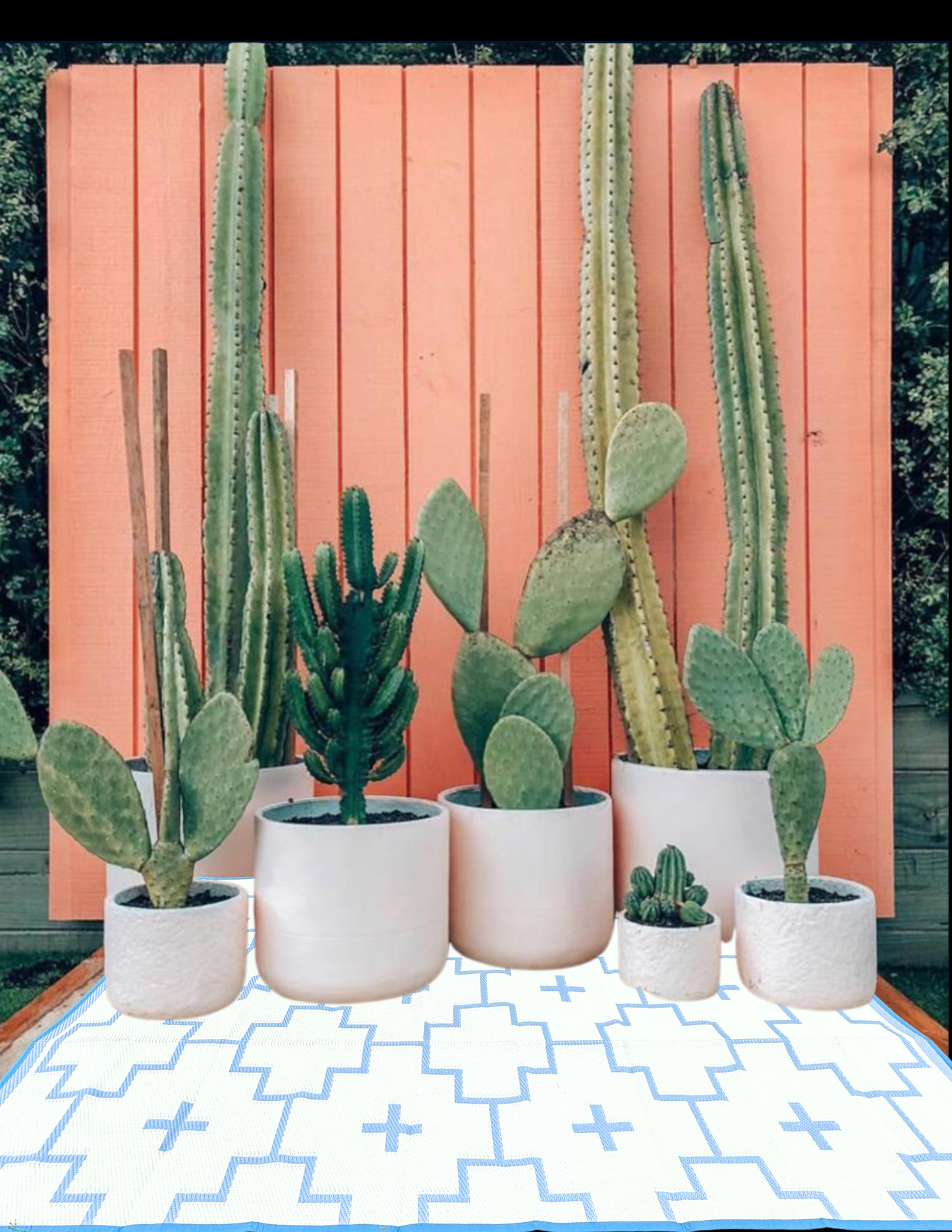 BLUE + IVORY - 6ft x 9ft - RANCH RUGS -LAJITAS DESIGN-