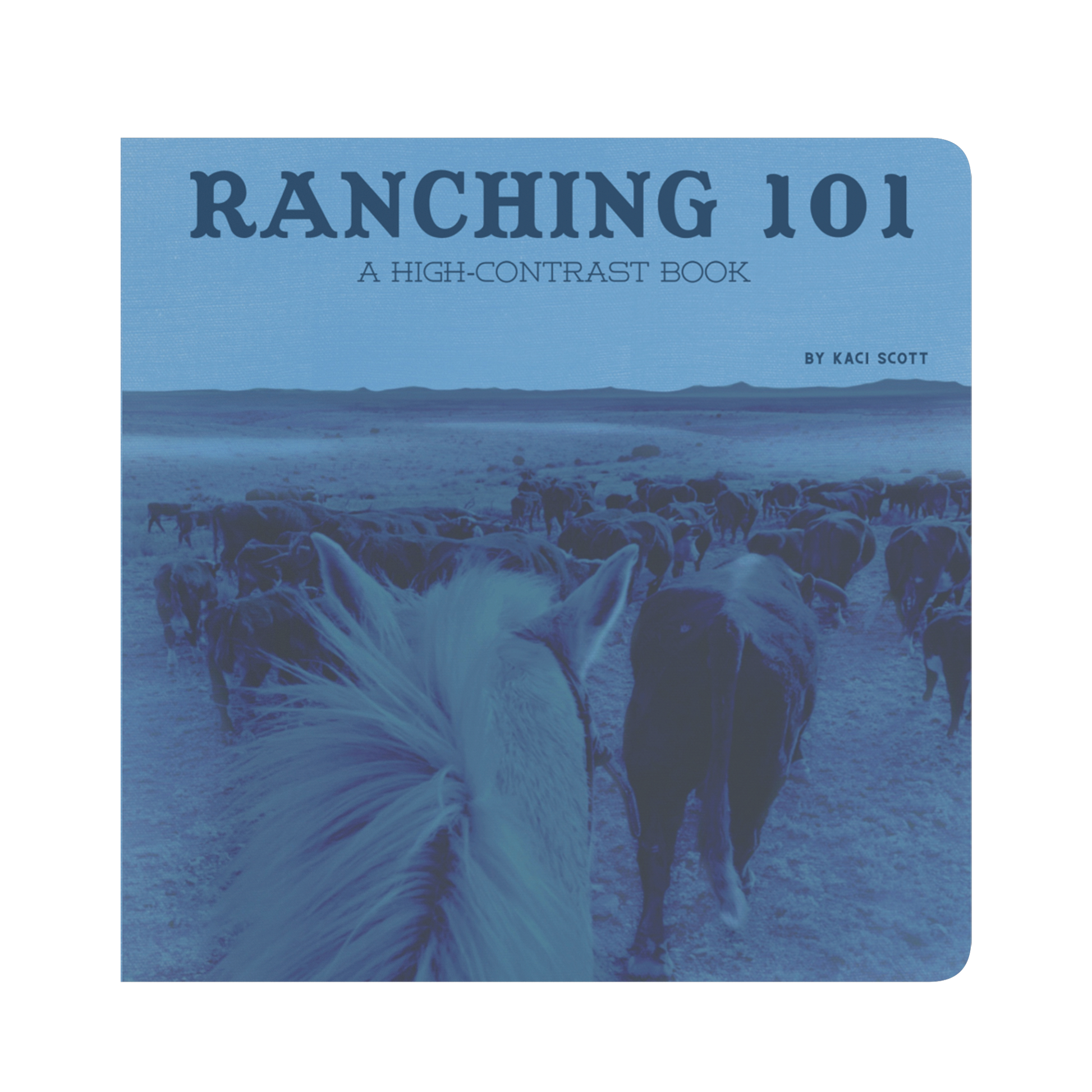 RANCHING_101_-_A_High_Contrast_Book_for__Board_Book_Closed_Front_Cover_Mockup.png_16057083