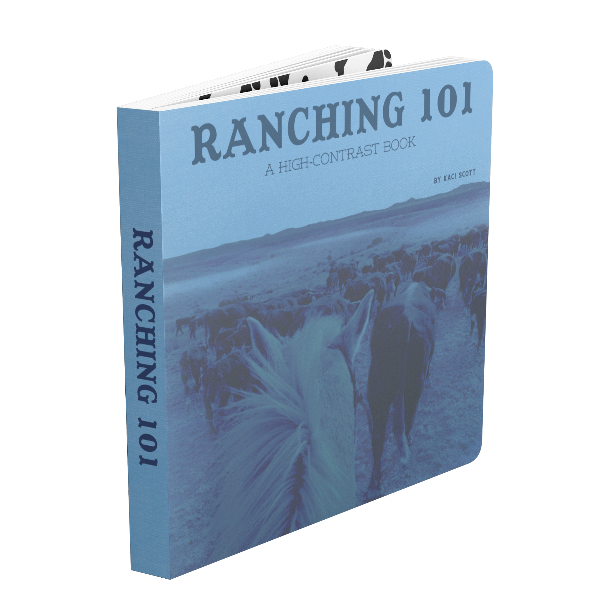 RANCHING_101_-_A_High_Contrast_Book_for__Board_Book_Standing_Book_Angle_Mockup.png_16057085