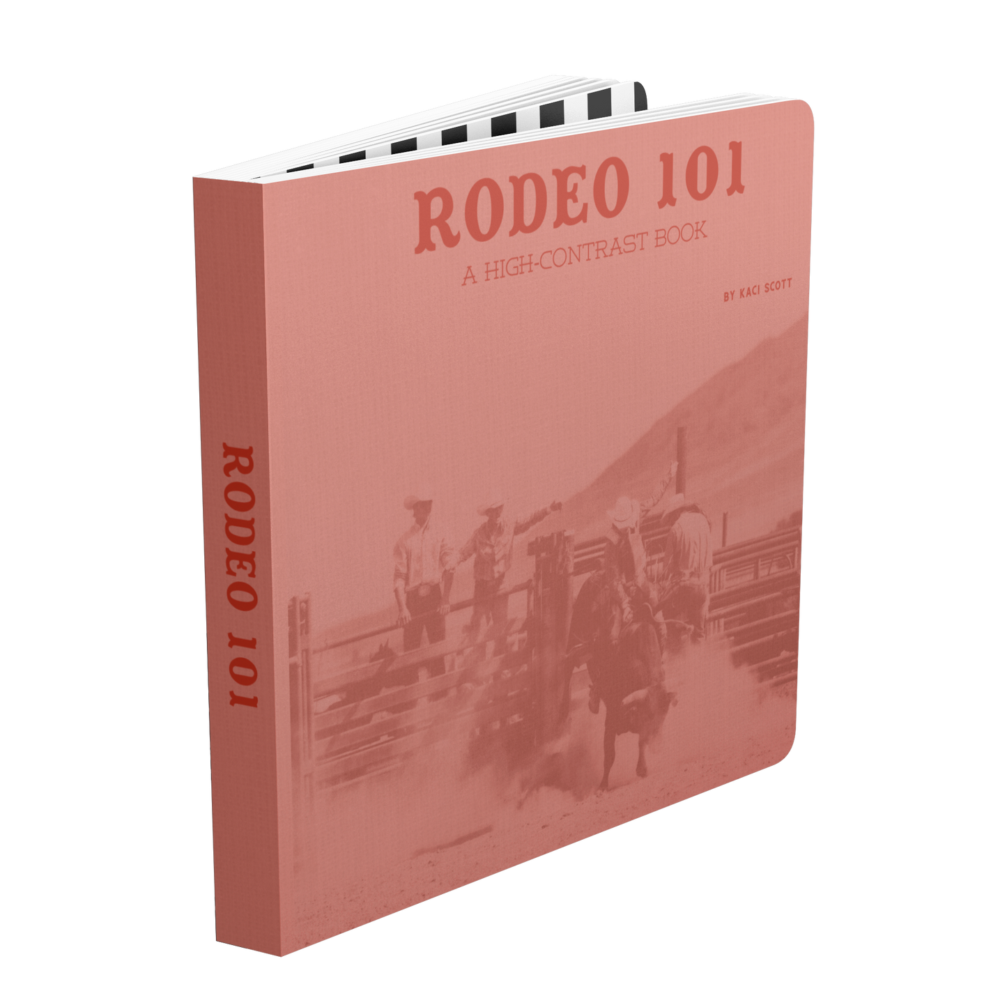 RODEO_101_Board_Book_Standing_Book_Angle_Mockup.png