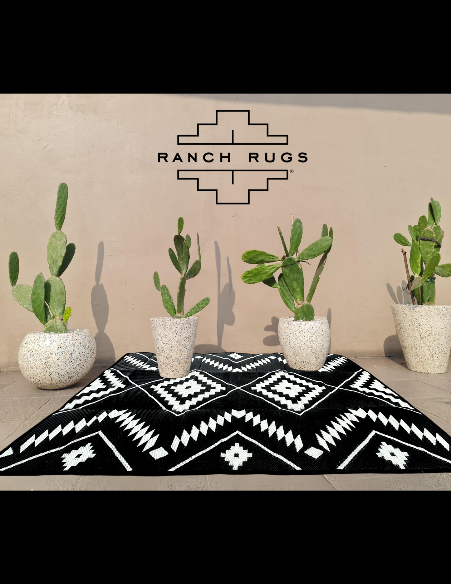 Black + Ivory - 9ft x 12ft - RANCH RUGS  -THE DAVIS -