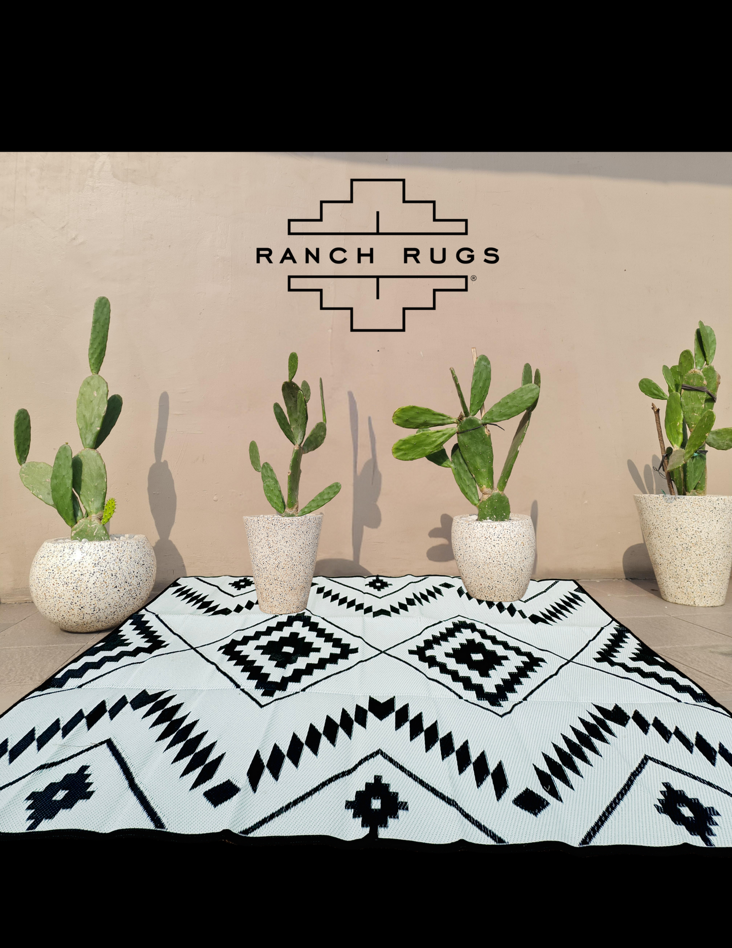 Black + Ivory - 9ft x 12ft - RANCH RUGS  -THE DAVIS -